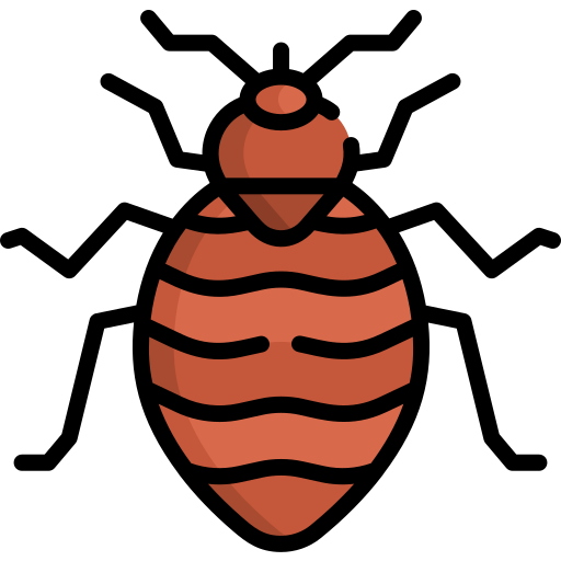 Bed Bug Pest Control