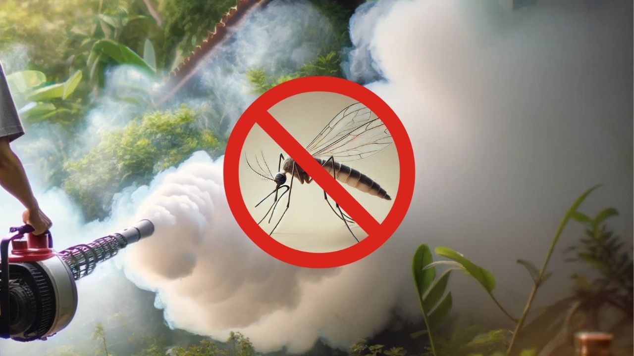 Pestofix mosquito fogging treatment outdoors